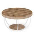 2-Tier Round Coffee Table with Metal Frame and Wooden Shelves Modern Living Room Side Table